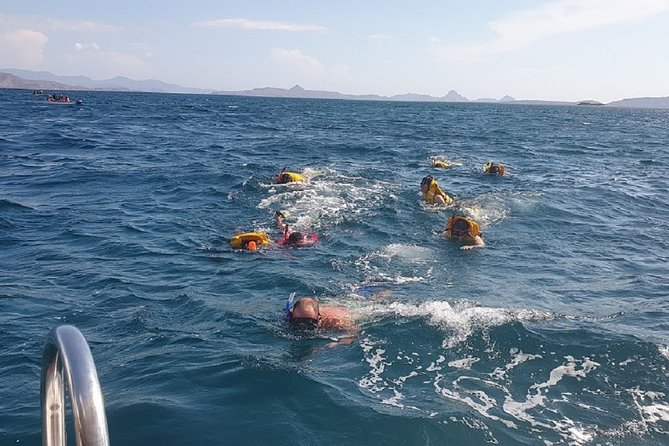 1- day Komodo Island Hopping Tour by Speed Boat departure From Labuan bajo - A 5:30am Speed-Boat Start from Labuan Bajo