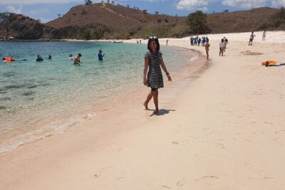 1- day Komodo Island Hopping Tour by Speed Boat departure From Labuan bajo - Padar Island Trek: The Viewpoint You Earn
