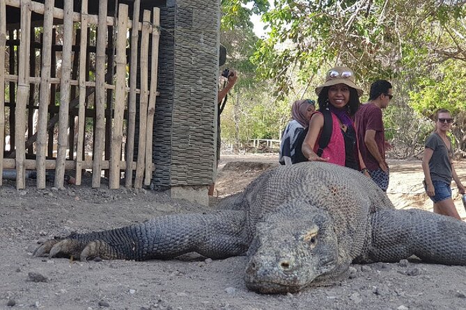 1- day Komodo Island Hopping Tour by Speed Boat departure From Labuan bajo - Manta Point Snorkeling: When Conditions Decide