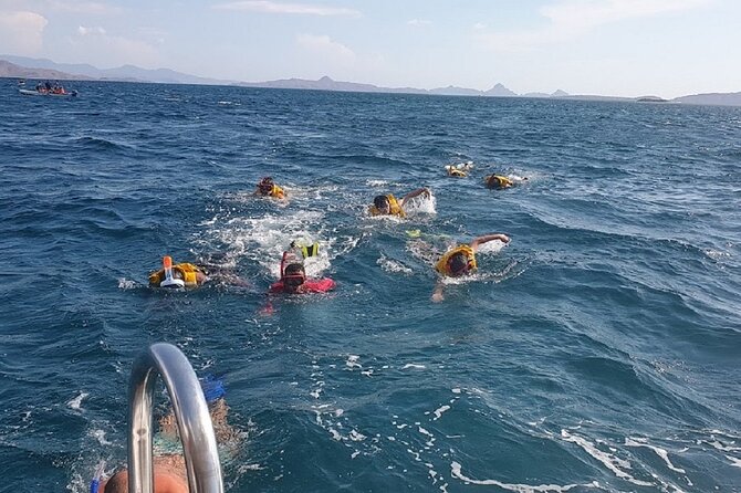 1- day Komodo Island Hopping Tour by Speed Boat departure From Labuan bajo - Kanawa Island: Snorkel Again or Just Unplug