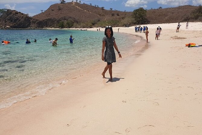 1- day Komodo Island Hopping Tour by Speed Boat departure From Labuan bajo - Padar Island Trek: The Viewpoint You Earn
