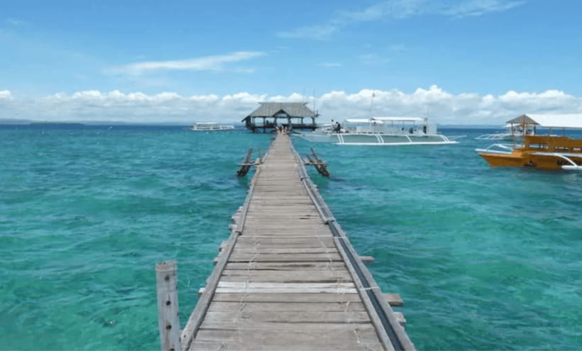 3 Islands Hopping at Gilutungan, Caohagan, Nalusuan + Lunch - Nalusuan Island snorkeling: second sanctuary stop, different vibe