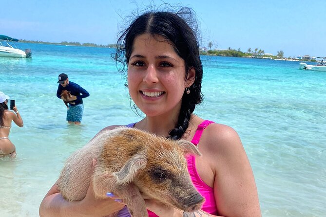 3 Islands Private Group Excursion (4hrs) - Meeting point and getting there with minimal stress