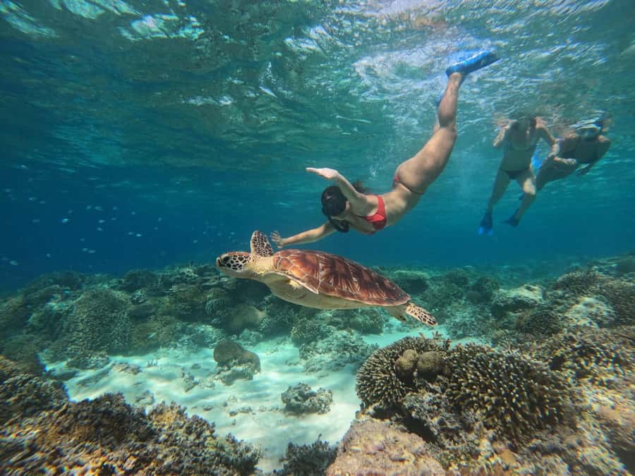 3 Islands Snorkeling with Glass Bottom Boat & GOPRO SHOOT - Key takeaways before you go