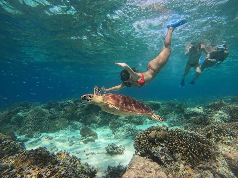 3 Islands Snorkeling with Glass Bottom Boat & GOPRO SHOOT - Crowds and the trade-off of shared timing