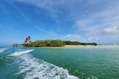 3 Islands tour Holbox . (Yalahau and more) - Yalahau Lagoon: calm freshwater spring, but budget for the extra fee