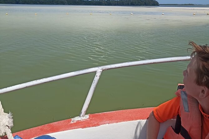 3 Islands tour Holbox . (Yalahau and more) - Price and value: what $50.87 buys you, and what it doesn’t