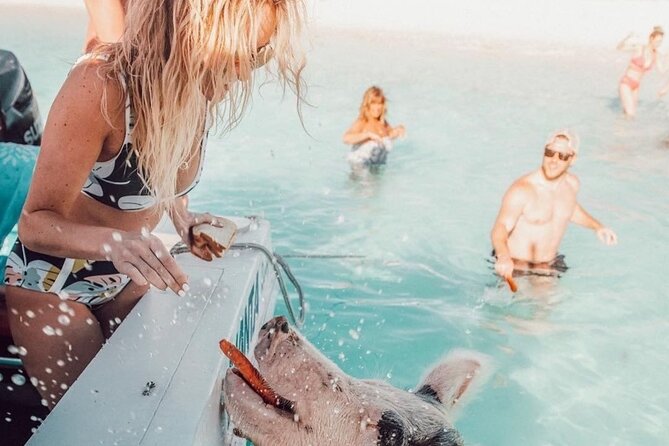 3 Islands Tour, Swim with Pigs, Turtles, Snorkelling & lunch - Price and value: is $175 a smart buy?