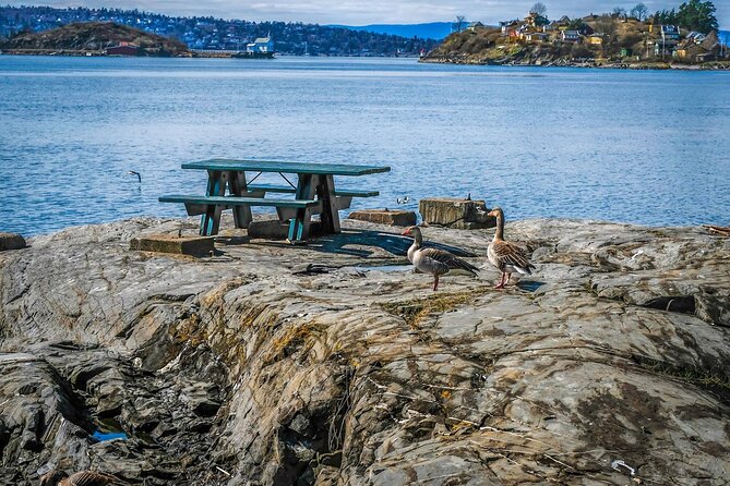4 Hours Island Hopping Tour in Oslo - Lindøya’s 1920s Wooden Cabins: Chill Mode with a Place to Eat