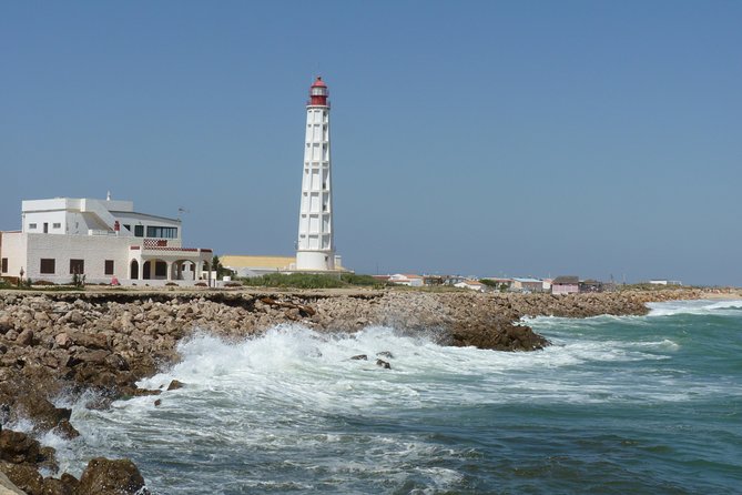 4 Stops | 3 Islands & Ria Formosa Natural Park - From Faro - Wildlife Watching: Birds First, Extra Shows When You’re Lucky