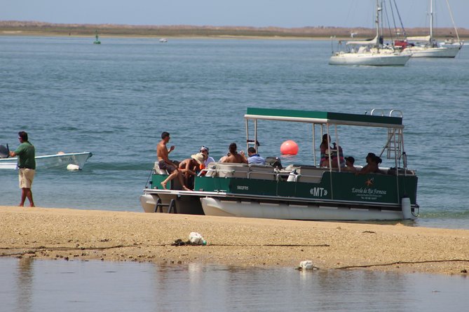 4 Stops | 3 Islands & Ria Formosa Natural Park - From Faro - Lunch on Culatra: How to Decide Without Regrets