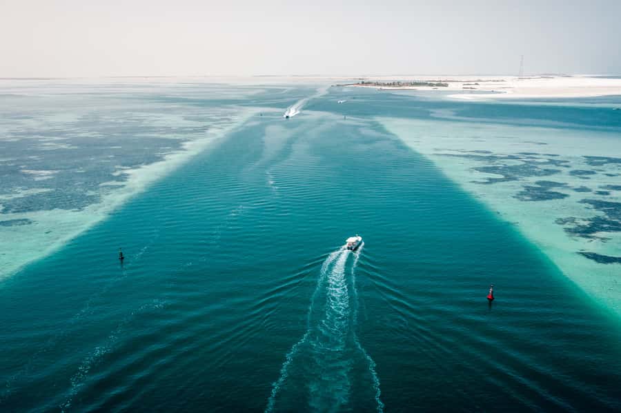 Abu Dhabi: 4-Hour Guided Cruise & Island Hopping - Key highlights you will actually feel