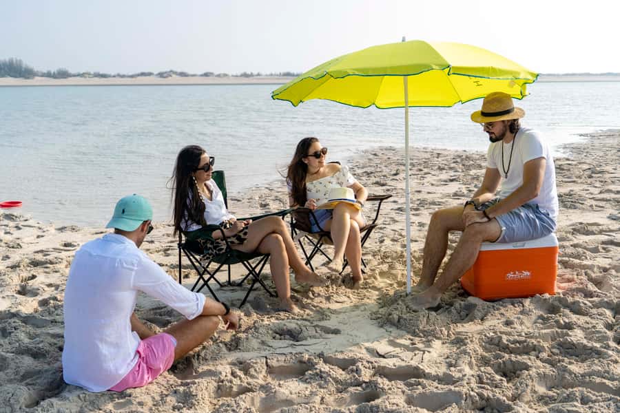 Abu Dhabi: 4-Hour Guided Cruise & Island Hopping - Dolphin Island swim break: the part that sells the trip