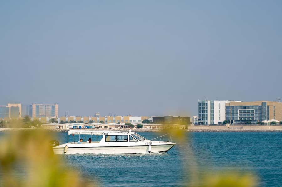 Abu Dhabi: 4-Hour Guided Cruise & Island Hopping - My booking take: should you go?
