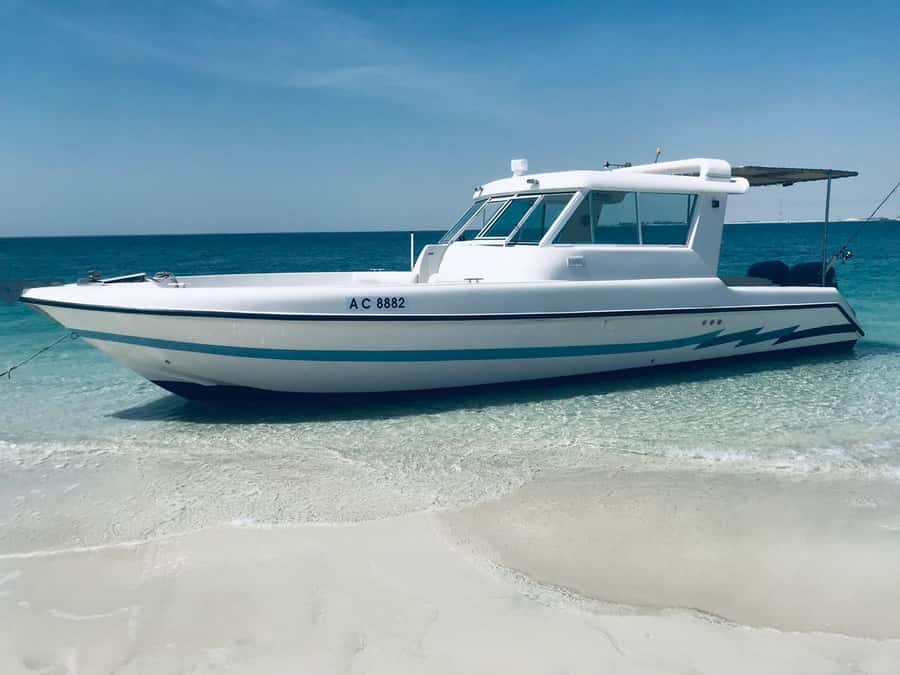 Abu Dhabi: 4-Hour Guided Cruise & Island Hopping - Etihad Towers and Qasr Al Watan from the water