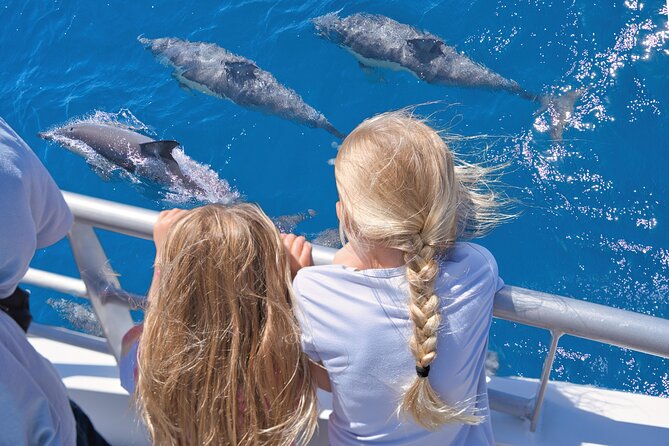 Auckland: Tikapa Moana Dolphin, Whale and Island Cruise - Key highlights you’ll actually care about