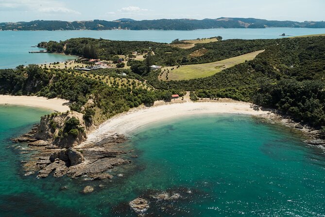 Auckland: Tikapa Moana Dolphin, Whale and Island Cruise - Waiheke Island stop: two ways to spend your island time