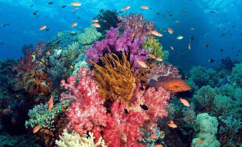 Best seller Phu Quoc Snorkeling Three Islands by Boat Tour - Stop near Kim Quy Island: first water time and mask comfort