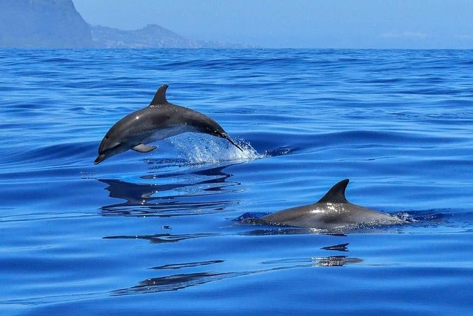 BLUE LAGON & 3 islands full day private speedboat tour - Key Things to Know Before You Go