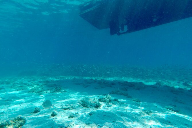 Blue Lagoon & 3 Islands Private Boat Tour - Price and value: $868.91 per group, but what does that buy