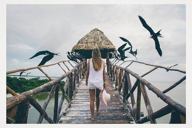 Boat Tour of Three Islands in Holbox with Transportation - Price and value: what $41.76 really buys