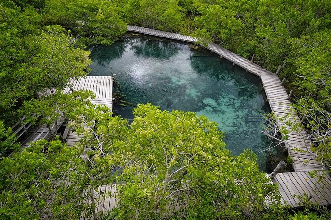 Boat Tour of Three Islands in Holbox with Transportation - Stop 3: Isla Pajaros birdwatching and the reality of protected nesting