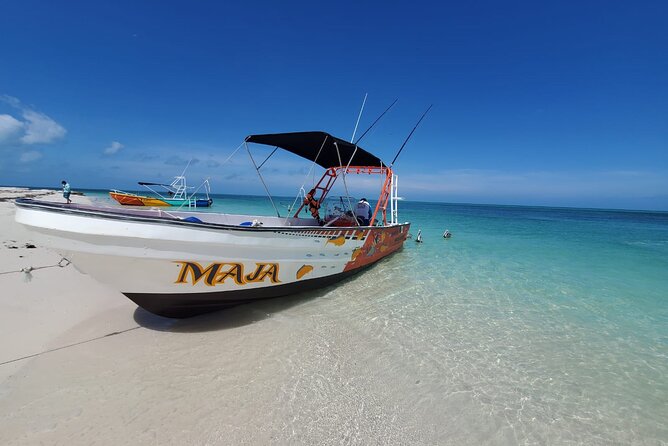Boat Tour of Three Islands in Holbox with Transportation - Guides and language: what bilingual means in real life