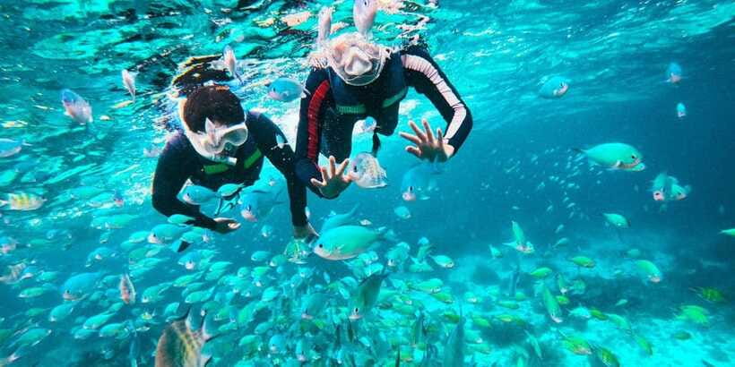 Bohol: Balicasag Shared Island Hopping Tour - Logistics that matter: group tour feel and transfers