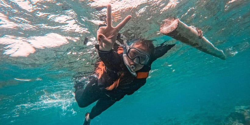 Bohol Dolphin Watching, Balicasag, and Virgin Island Tour - Key Things You’ll Notice on This Bohol Water Day