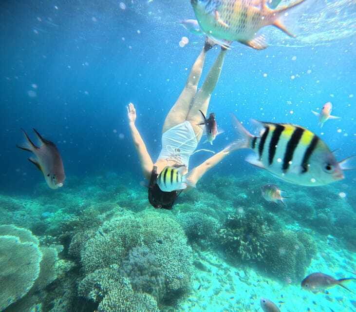 Bohol: Panglao Island Hopping Tour with Snorkeling (Private) - What to bring for a smooth morning (and avoid the “oops” moments)