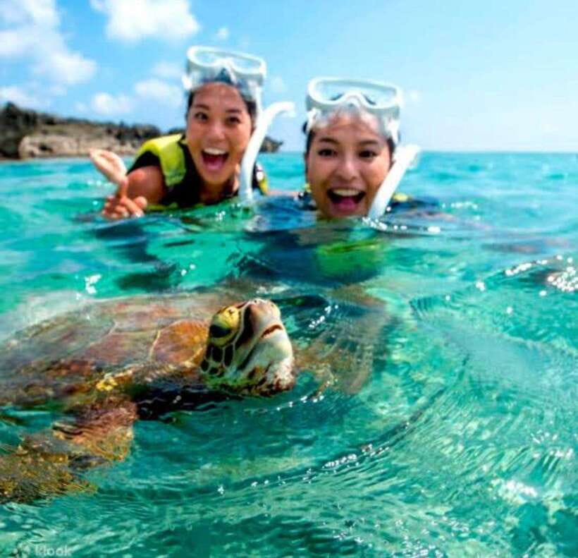 Bohol: Swim with Sea Turtles, Dolphins & Island Hopping Tour - Panglao Coast: Dolphin-Spotting Cruise (What You’ll See and What You Might Miss)