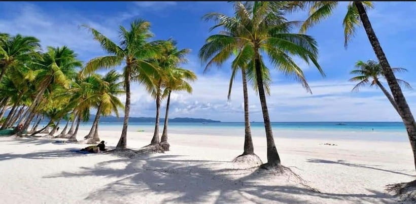 Bohol: Swim with Sea Turtles, Dolphins & Island Hopping Tour - Price, Fees, and Real-World Value (Including the Environmental Fee)