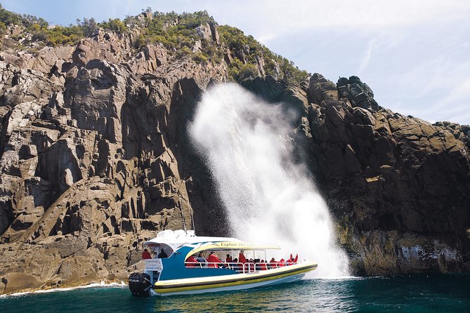 Bruny Island Wilderness Cruise from Adventure Bay, Bruny Island - From Adventure Bay: The Simple Start That Sets the Tone