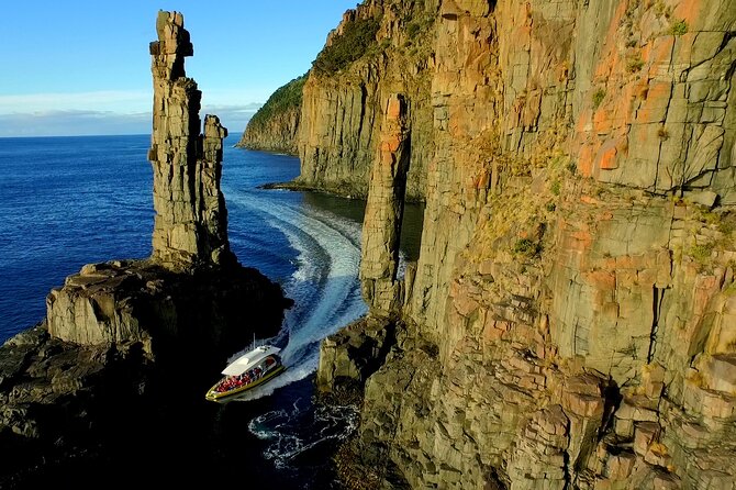 Bruny Island Wilderness Cruise from Adventure Bay, Bruny Island - Wildlife Chances: Dolphins, Seals, Sea Eagles, and Even Sharks
