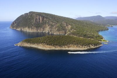 Bruny Island Wilderness Cruise from Adventure Bay, Bruny Island - The Eco-Cruiser Experience: Speed Meets Safety