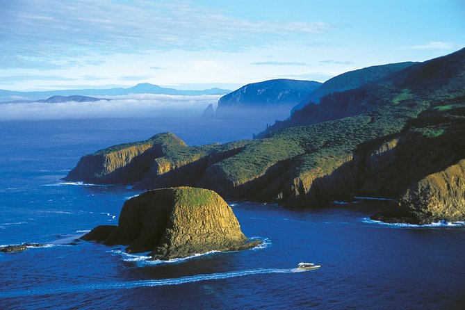 Bruny Island Wilderness Cruise from Adventure Bay, Bruny Island - The Guides: Funny, Safety-First, and Good at Making Time Fly