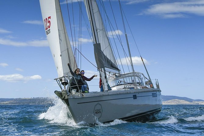 Bruny Island Wilderness Cruise from Adventure Bay, Bruny Island - Price and Value: What $129.10 Buys You
