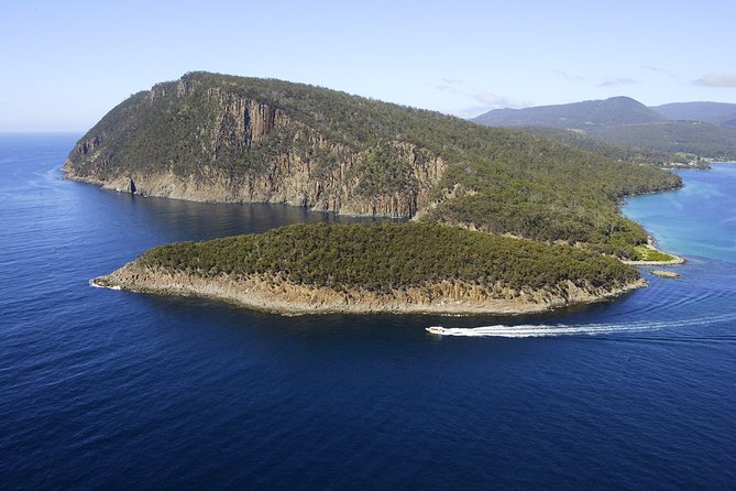 Bruny Island Wilderness Cruise from Adventure Bay, Bruny Island - The Eco-Cruiser Experience: Speed Meets Safety