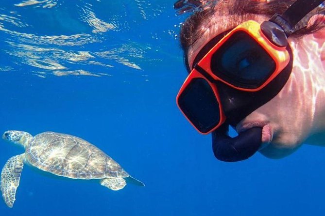 CAPTAIN ALAN'S 4hr -3 Islands-snorkeling-turtles-beach ADVENTURE - Price and the real value of Captain Alan’s $99 tour