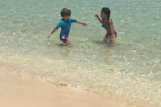 CAPTAIN ALAN'S 4hr -3 Islands-snorkeling-turtles-beach ADVENTURE - Tintamarre Island: the turtle-and-beach hour