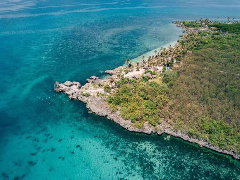 Cebu: Bantayan Island and Virgin Island Hopping Day Tour - Omagieca Obo-ob Mangrove Garden: photos plus real conservation meaning