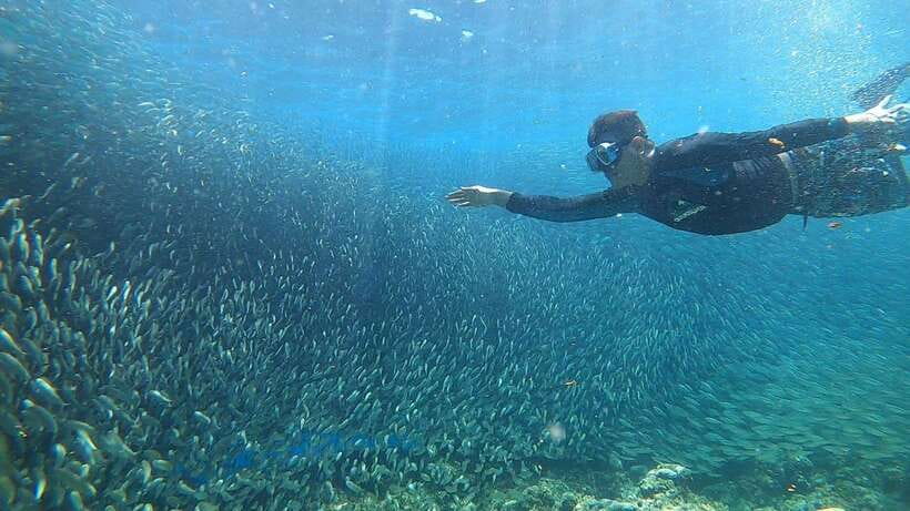 Cebu: Moalboal Island Hopping and Mantayupan Falls Day Trip - How the 8-hour private format actually feels
