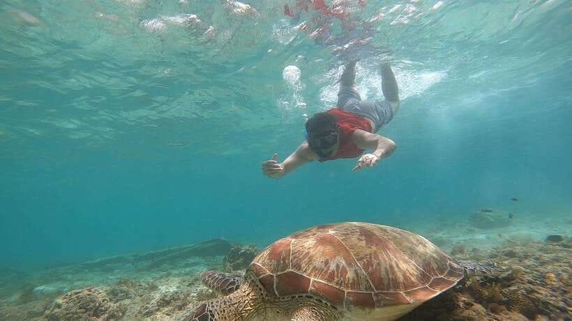 Cebu: Moalboal Island Hopping and Mantayupan Falls Day Trip - Should you book this Moalboal and Mantayupan Falls day trip?