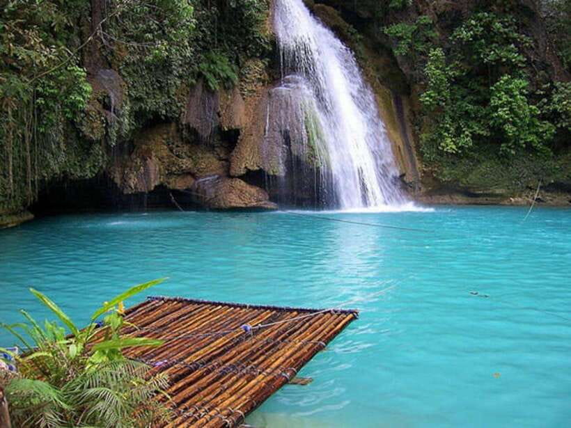 Cebu: Moalboal Island Hopping & Kawasan Falls Adventure - Sea turtles can mean crowds: the trade-off you’ll want to plan for