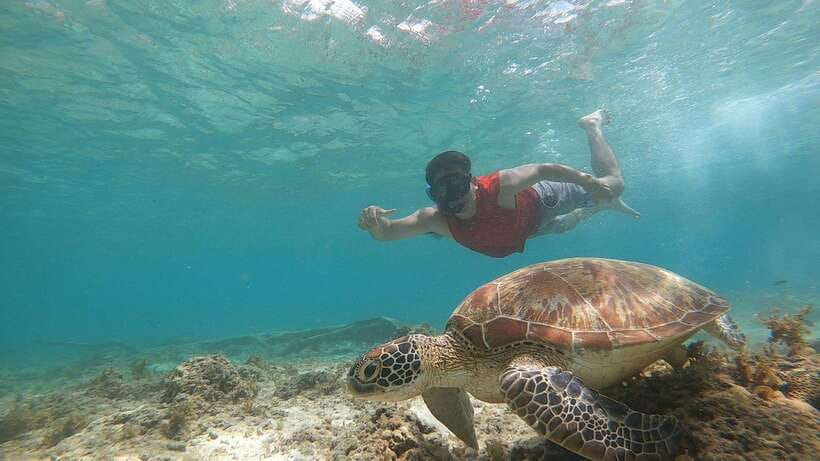 Cebu: Moalboal Island Hopping & Kawasan Falls Adventure - What to bring for this Moalboal and Kawasan combo