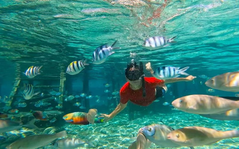Cebu: Private Mactan Island Hopping Tour with Lunch - Private outrigger comfort: how the day starts from Cebu