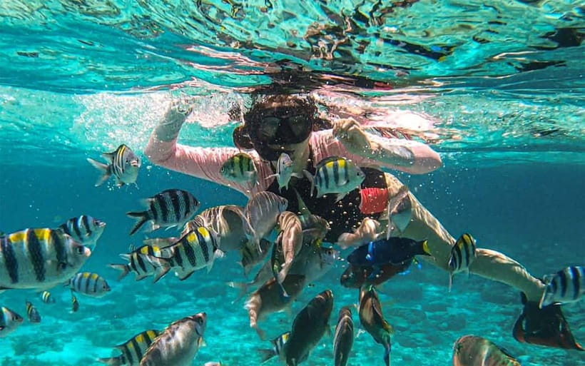 Cebu: Private Mactan Island Hopping Tour with Lunch - Gilutungan marine sanctuary snorkeling: coral gardens and protected water
