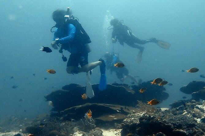 Cebu Private Tour 3 Islands Hopping Gilutungan Caohagan Nalusuan - Caohagan Island Beach Break: Swim, Explore, and Reset