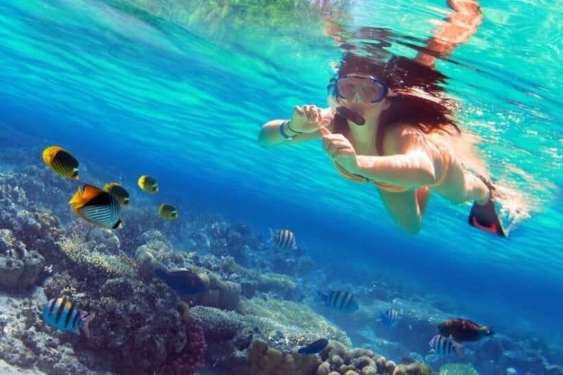 Coron: Coastal Cliffs, Beach & Malcapuya Island Hopping Tour - What the $45 price includes (and what it buys you)