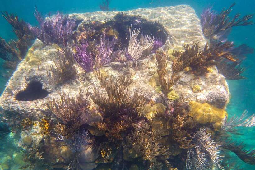 Coron: Coastal Cliffs, Beach & Malcapuya Island Hopping Tour - What to pack (so you don’t turn this into a hassle)